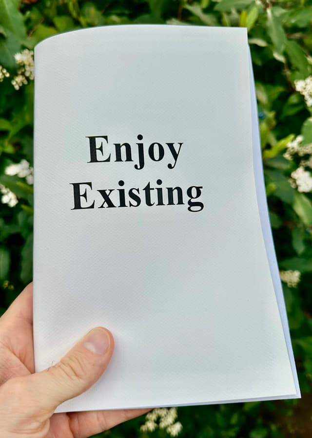 Enjoy Existing — book cover